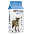 Charrúa cachorro 22kg