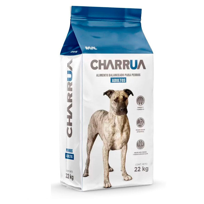 Charrúa adulto 22kg